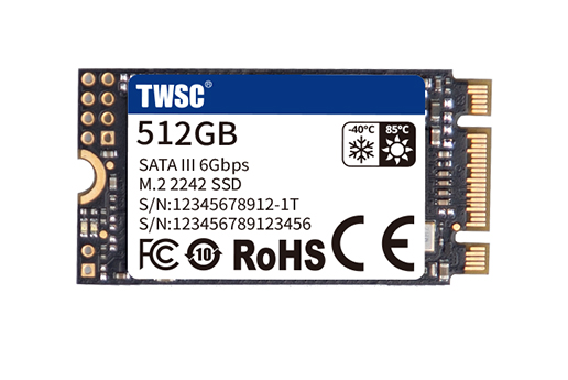 M.2 2242 SATA III SSD